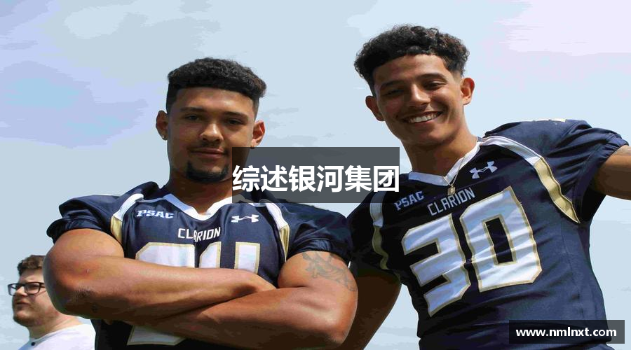 综述银河集团